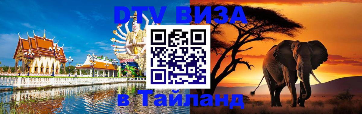 Оформление DTV визы под ключ: стоимость и тарифы, только загранпаспорт - Мытищи  04.10.2025 