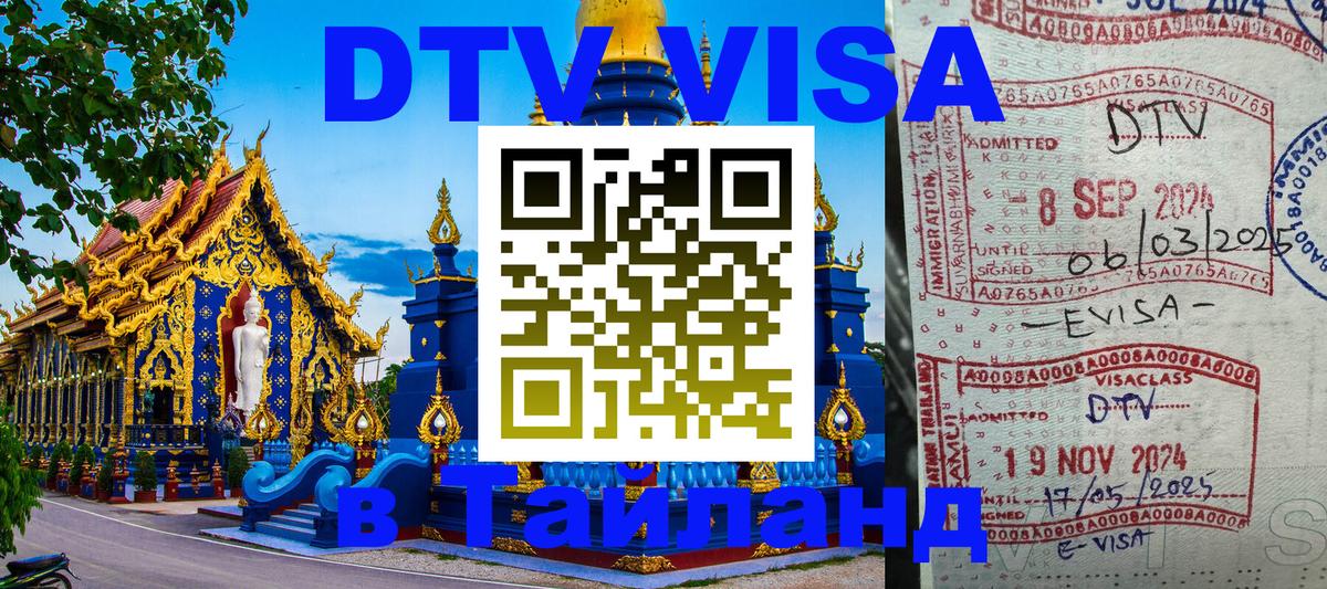 Сколько стоит DTV виза — актуальные цены, оформление даже без документов - 05.12.2025 